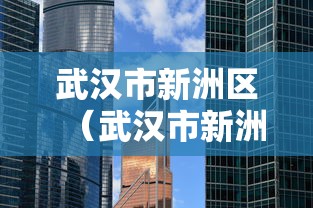 武汉市新洲区（武汉市新洲区区长）